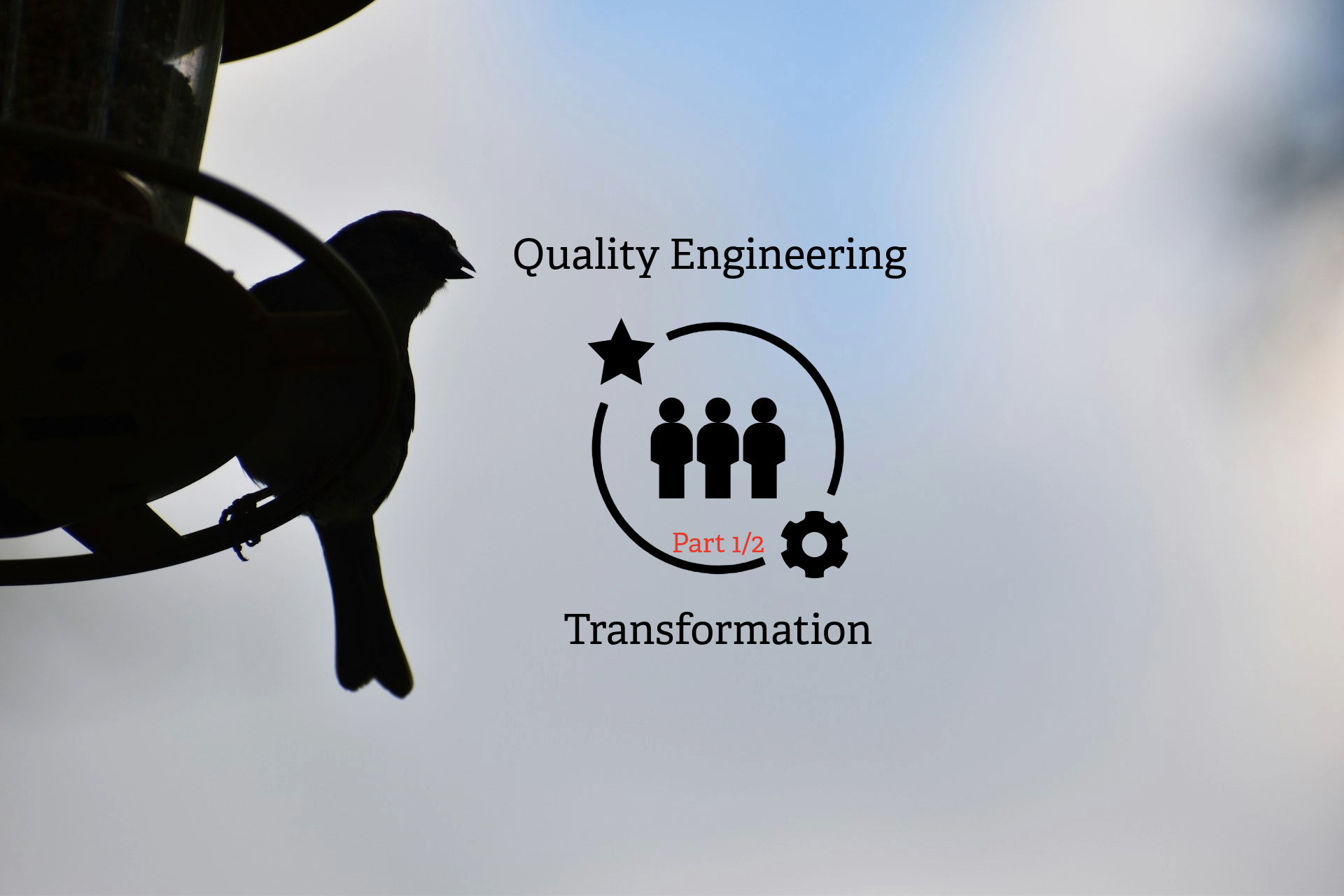 Why Your Transition to Quality Engineering May Fail